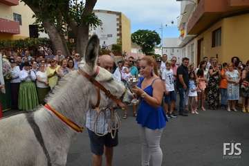 Misa, desfile del ganado y procesión religiosa en el Valle de los Nueve de Telde (Foto Francisco Javier Santana)